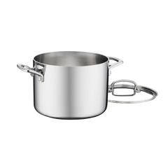 French Classic Tri-Ply Stainless Cookware 6 Quart Stockpot with Cover
