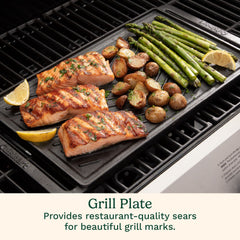 Reversible Cast Iron Grill/Griddle Plate