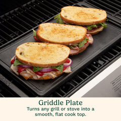Reversible Cast Iron Grill/Griddle Plate